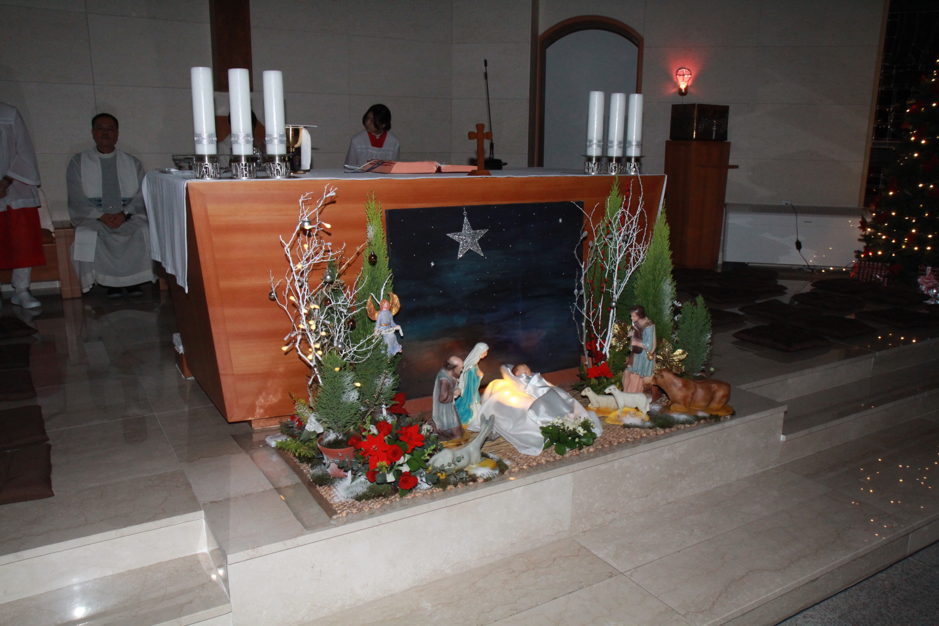 IMG_8198.JPG