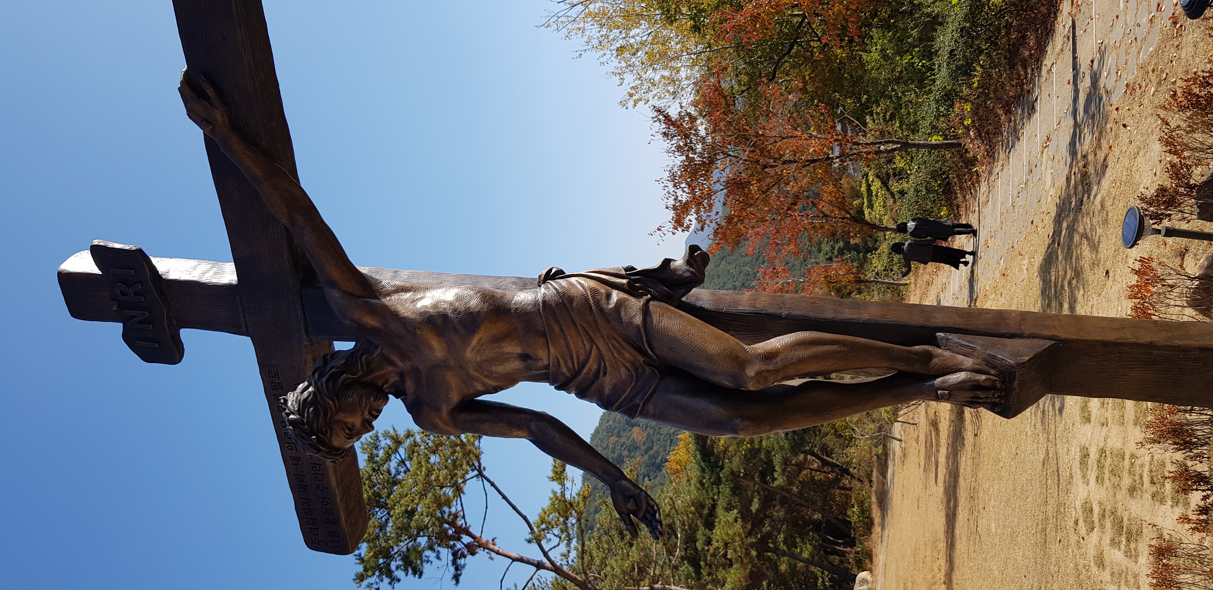 1668337403794-4.jpg