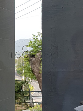 20190423230231-수정됨_20190422_161612%20(2).jpg