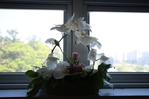 20190516203732-수정됨_IMG_0161.jpg