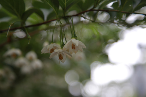 20190520175028-수정됨_IMG_0379.jpg