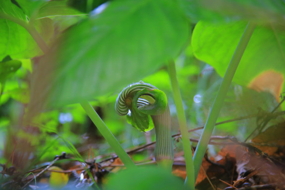 20190520175028-수정됨_IMG_0389.jpg