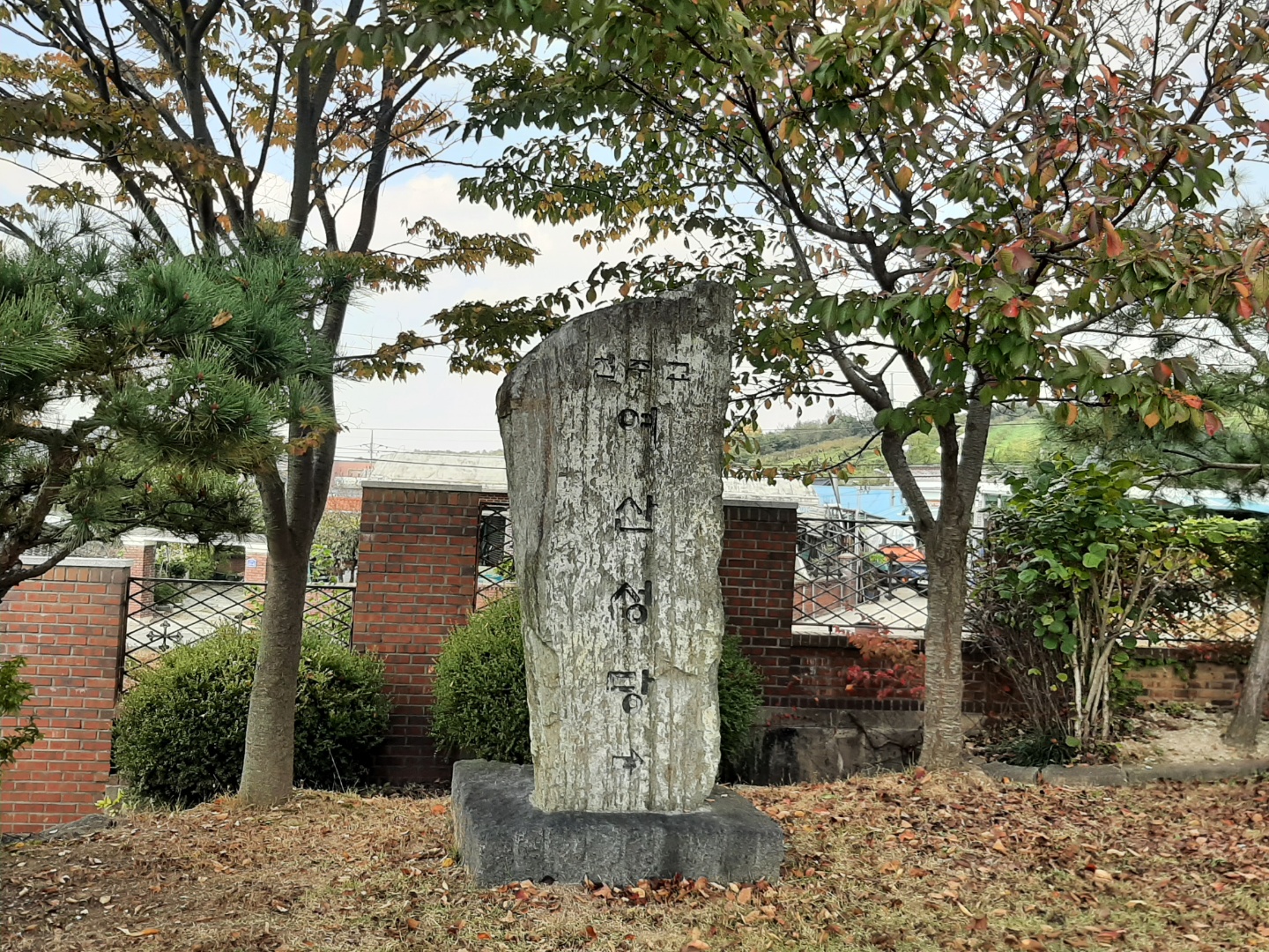 1666575371137.jpg
