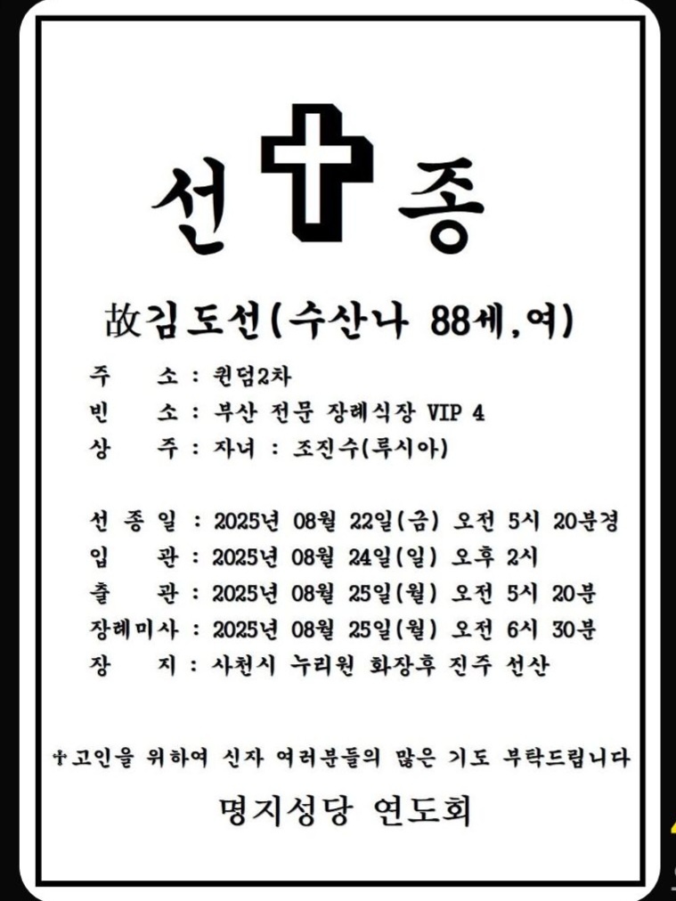 1756204334663.jpg
