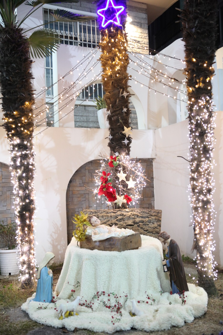 IMG_4273_copy_936x1404.jpg