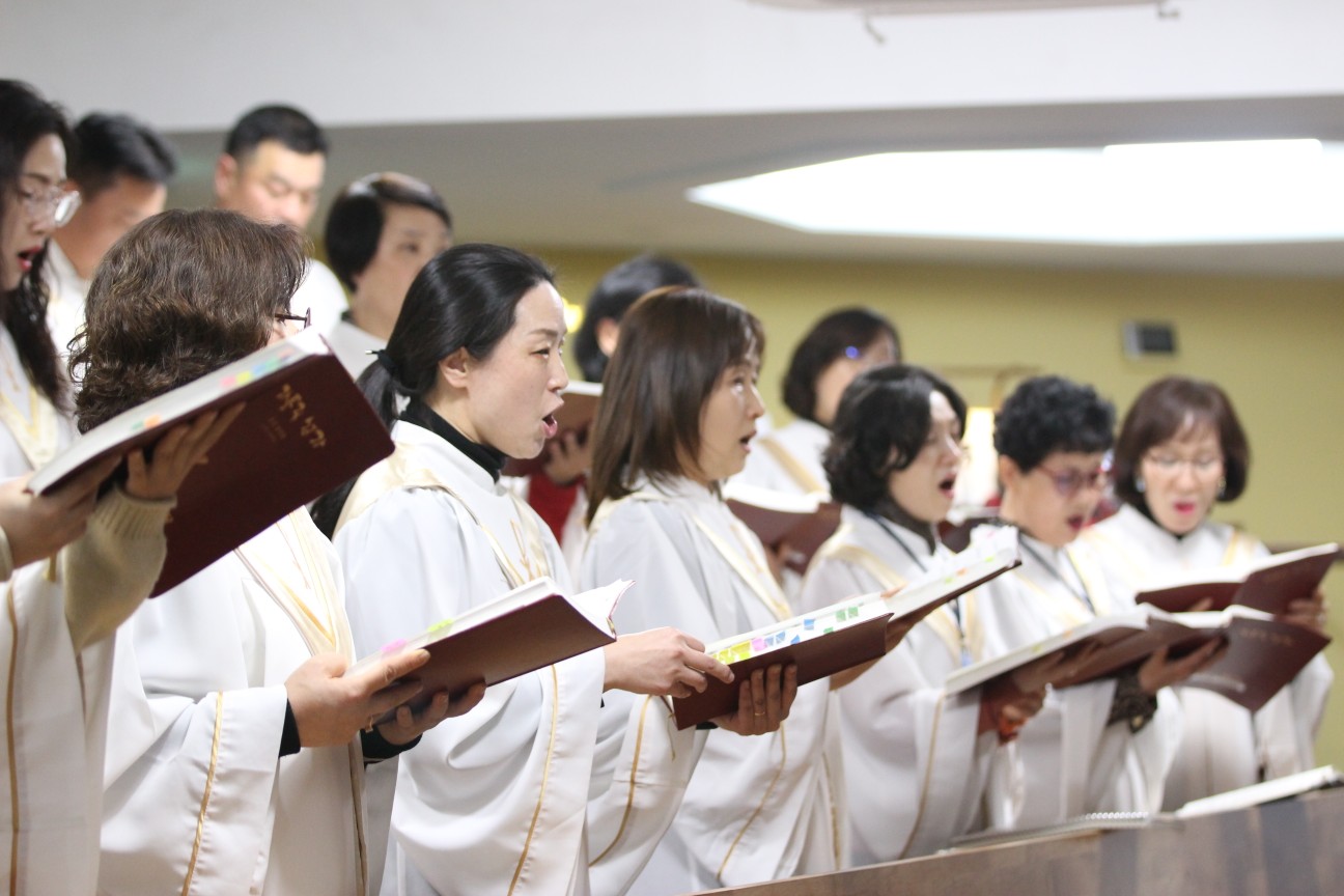 IMG_4541_copy_1296x864.jpg