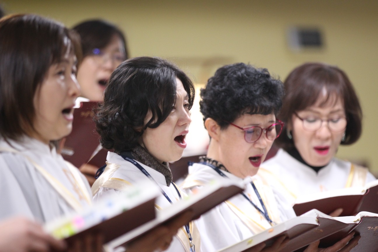 IMG_4540_copy_1296x864.jpg