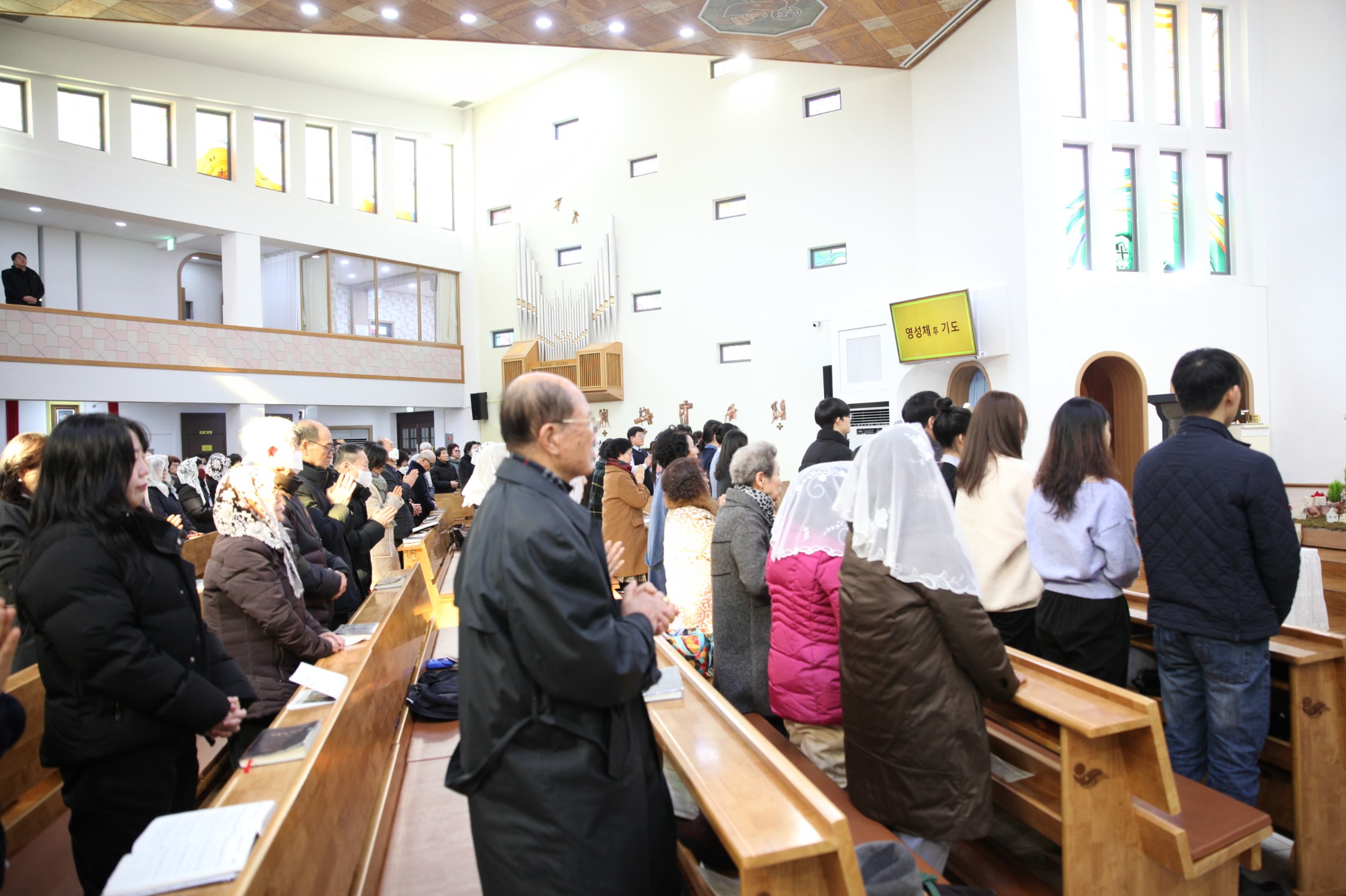 IMG_4448_copy_2246x1497.jpg