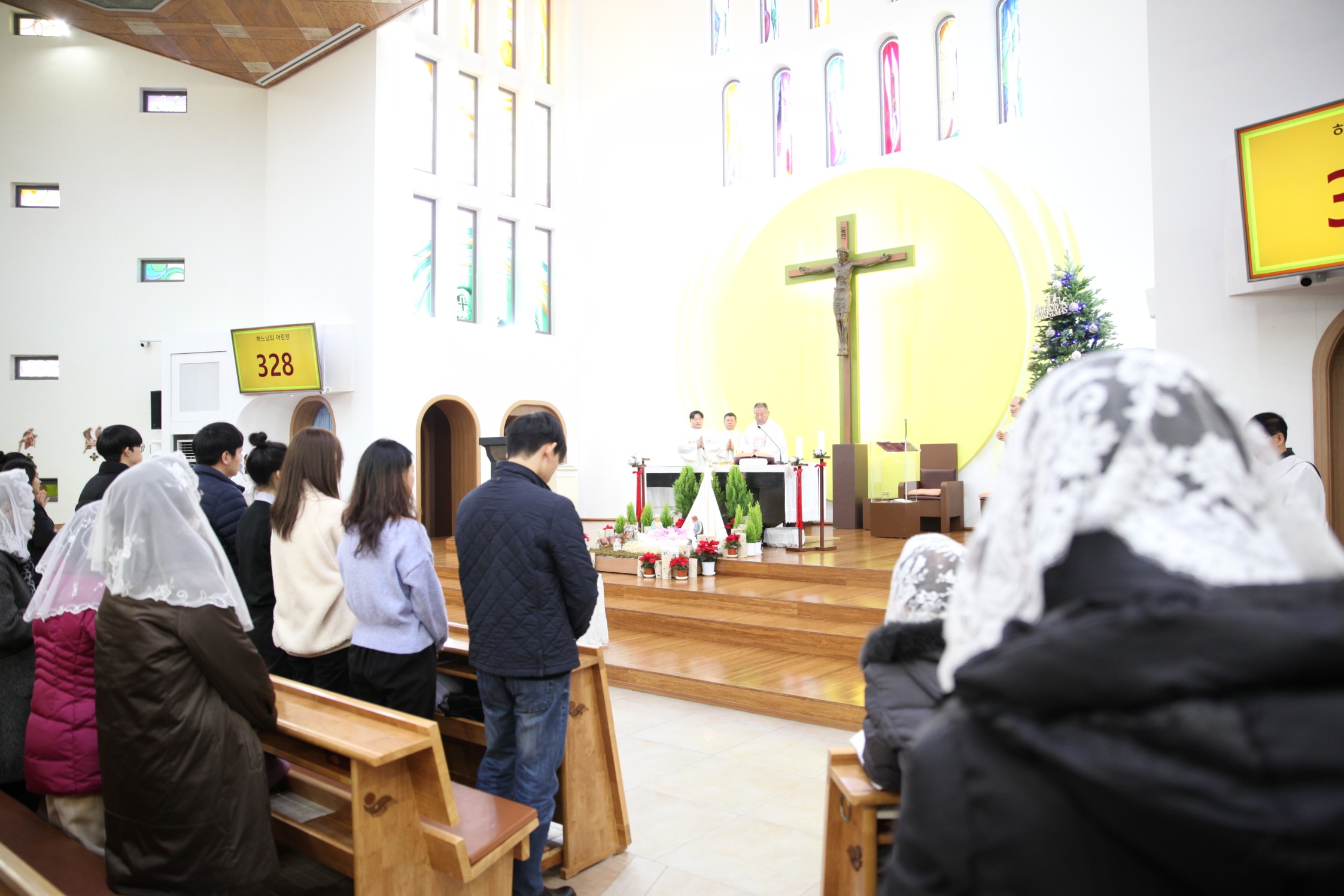 IMG_4447_copy_2246x1497.jpg