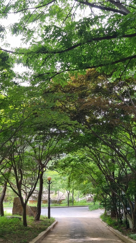 KakaoTalk_20240606_203400180.jpg