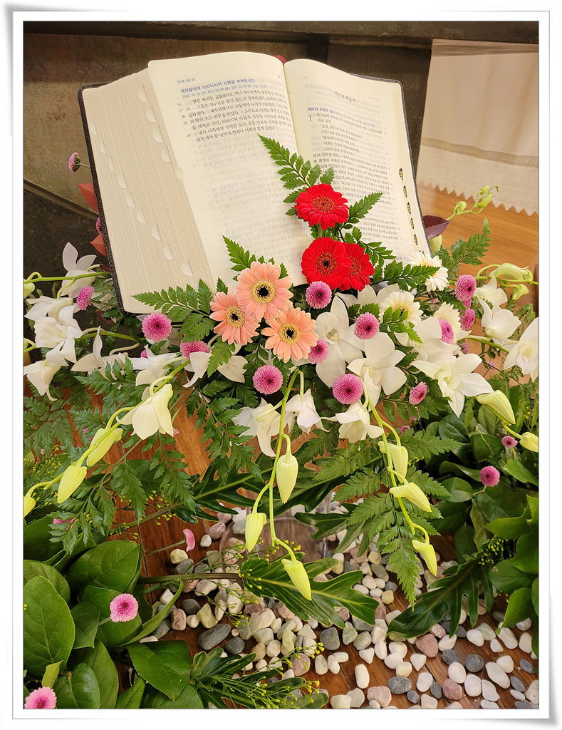 KakaoTalk_20221026_152728780_03.jpg