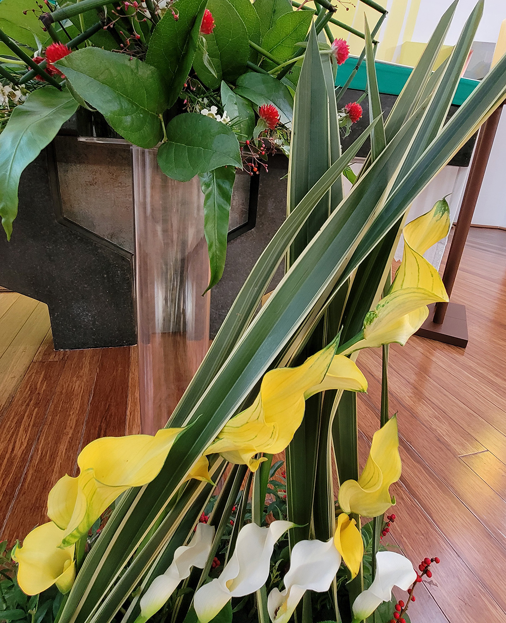 KakaoTalk_20221016_223617497_07.jpg