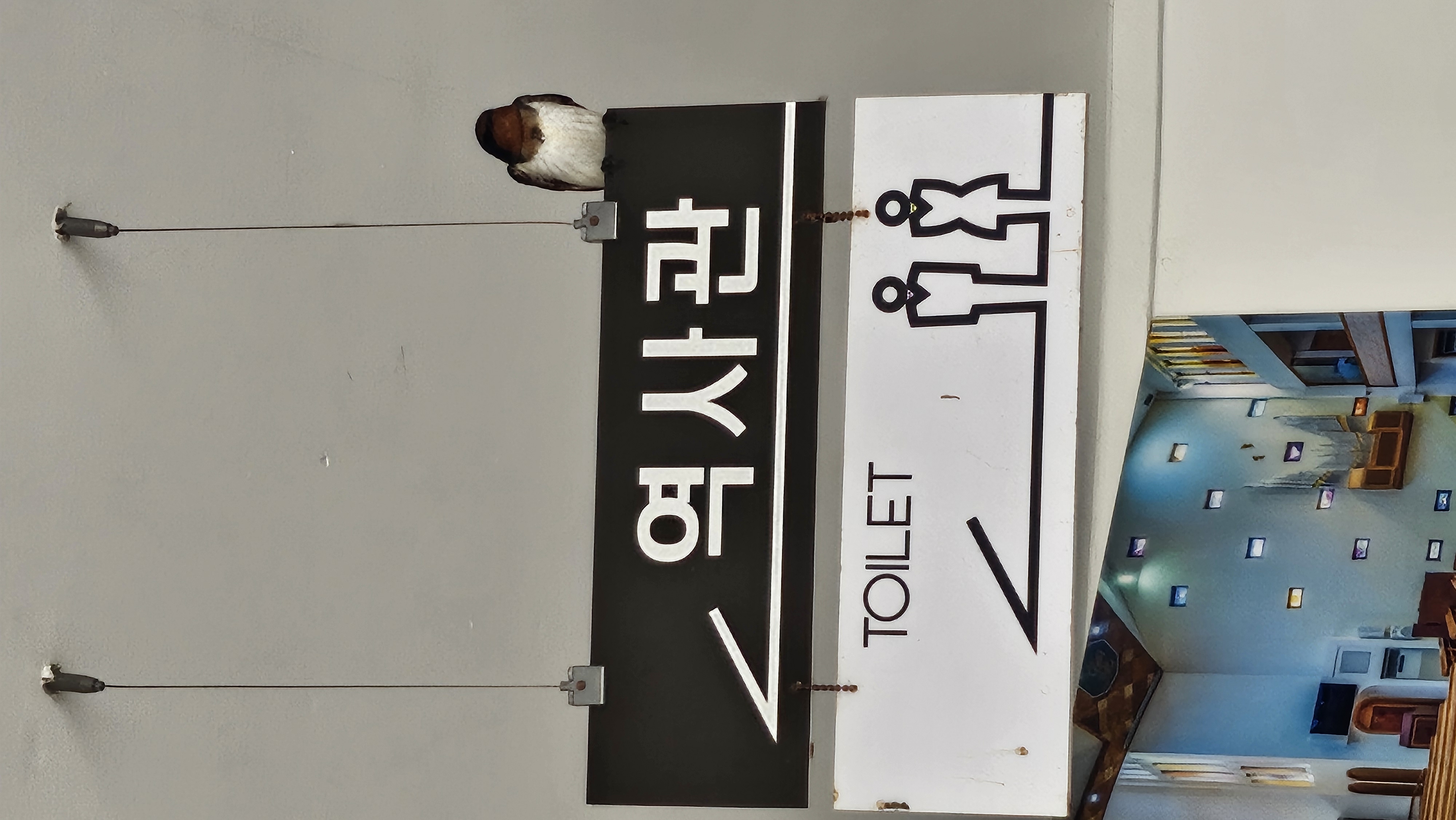 KakaoTalk_20250411_154537389_01.jpg