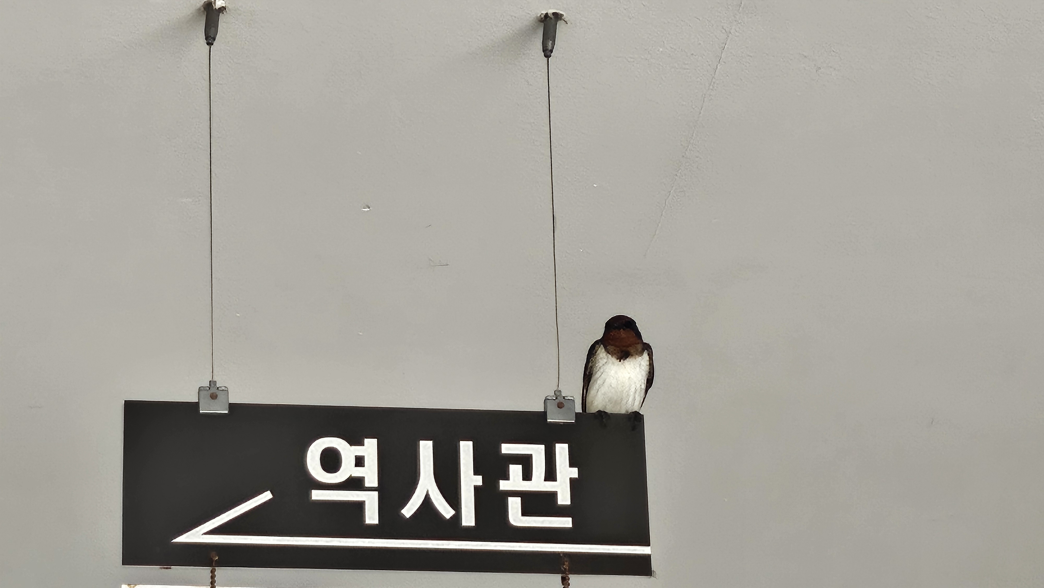 KakaoTalk_20250411_154537389.jpg