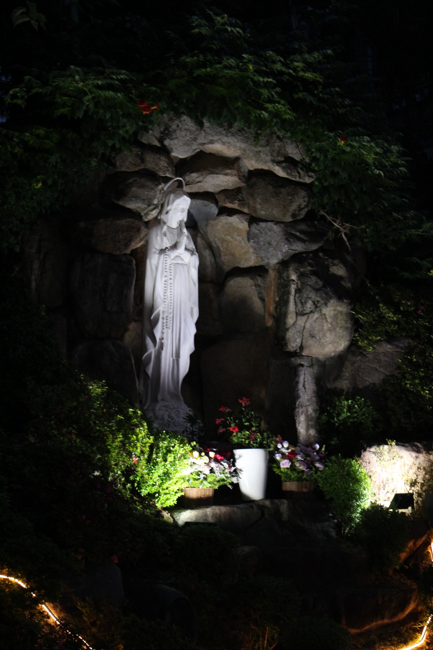 IMG_5164_copy_1382x2073.jpg