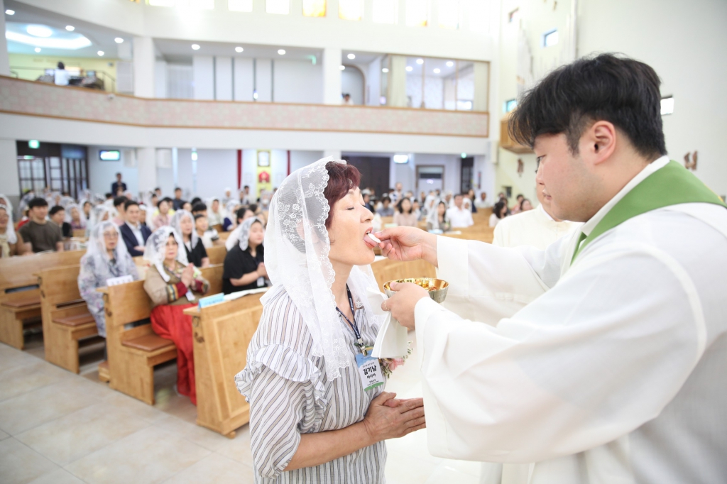 IMG_2866_copy_2246x1497.jpg