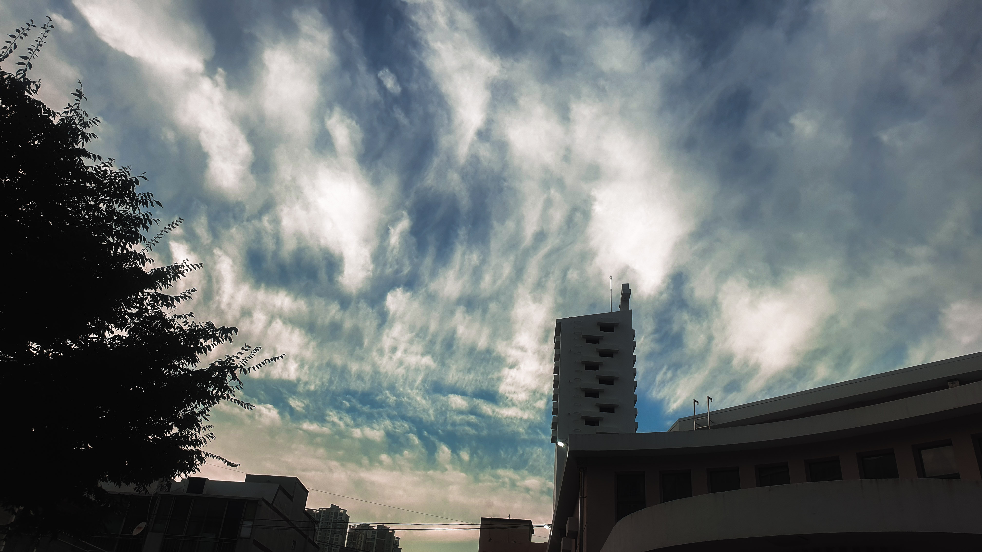 PSX_20220716_044232.jpg