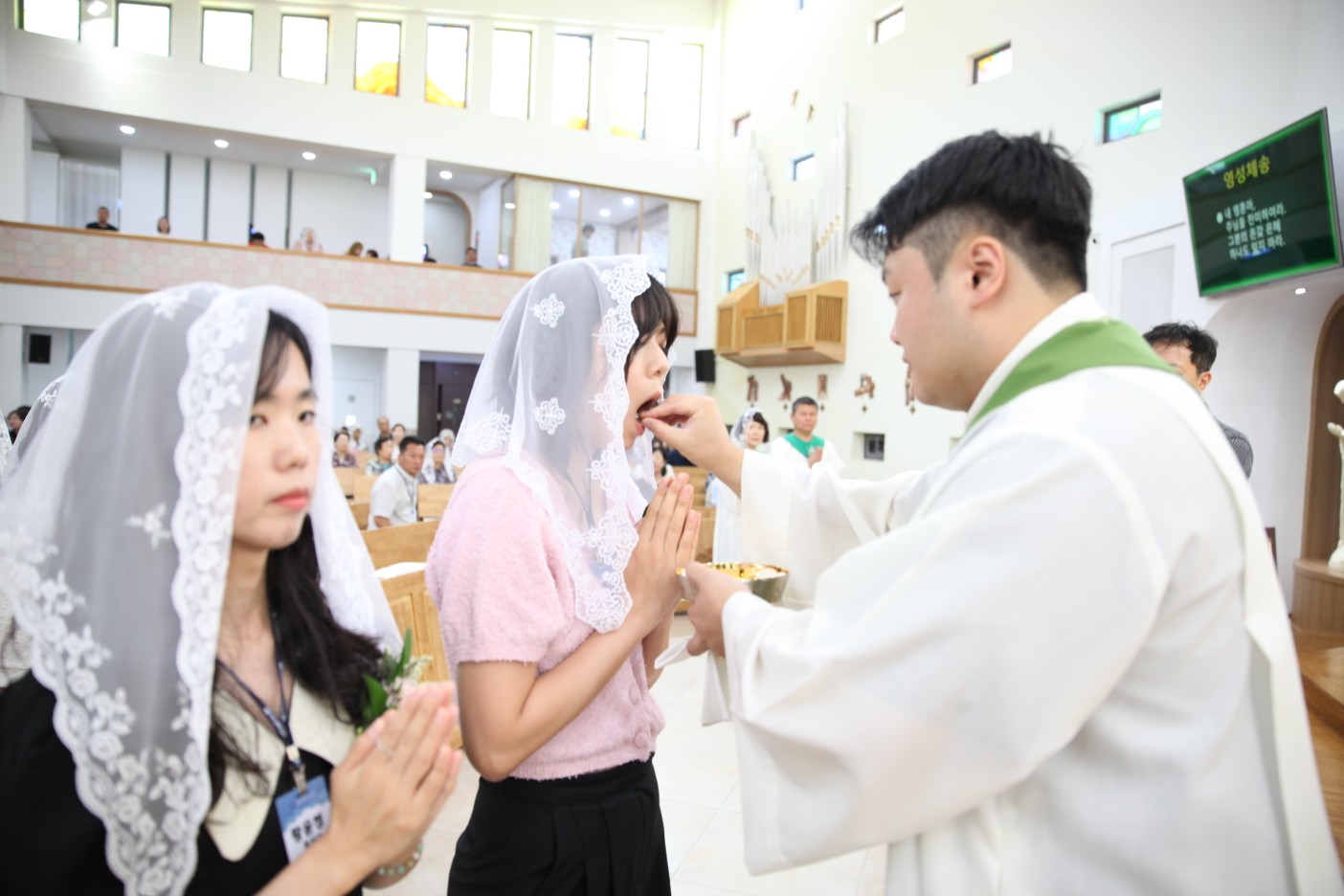 IMG_6019_copy_1404x936.jpg
