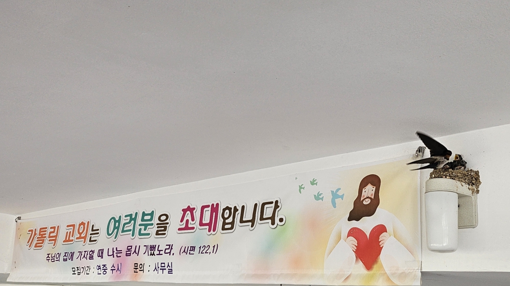 KakaoTalk_20240629_085259832_13.jpg