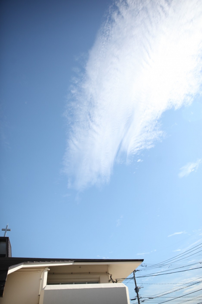 IMG_3818_copy_936x1404.jpg