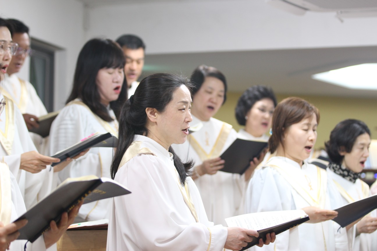 IMG_4958_copy_1296x864.jpg