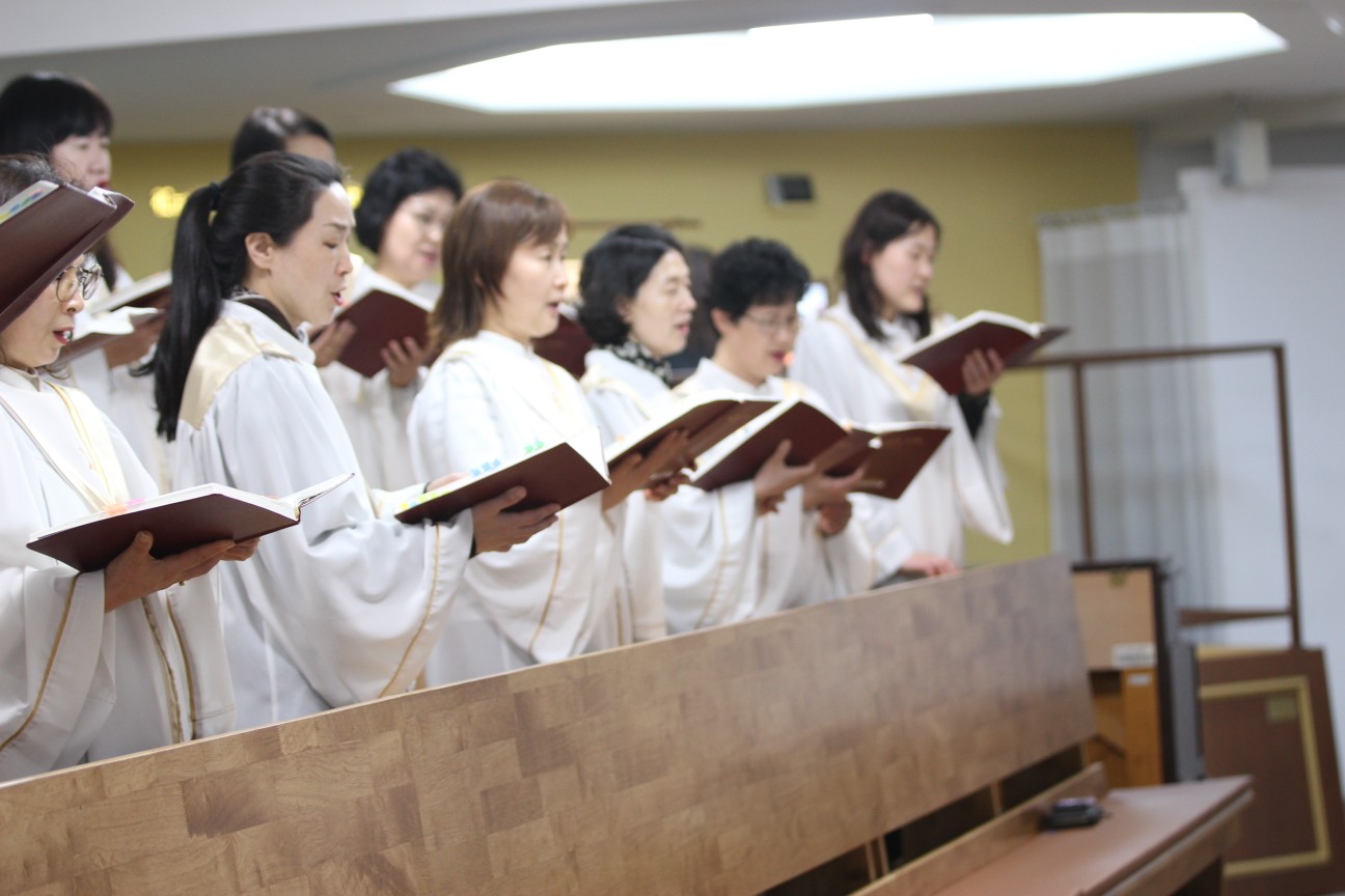 IMG_4911_copy_1296x864.jpg
