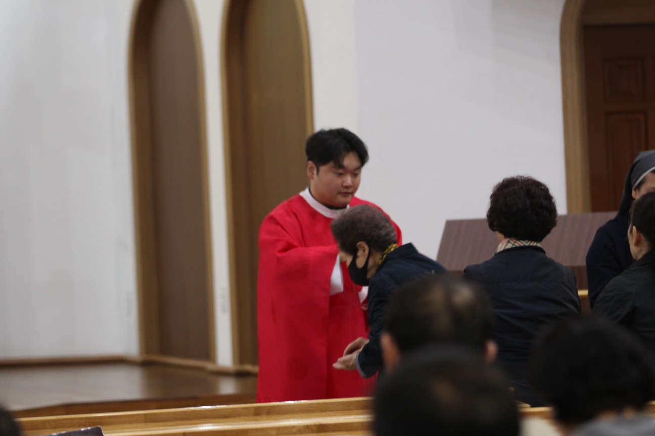 IMG_4931_copy_1296x864.jpg