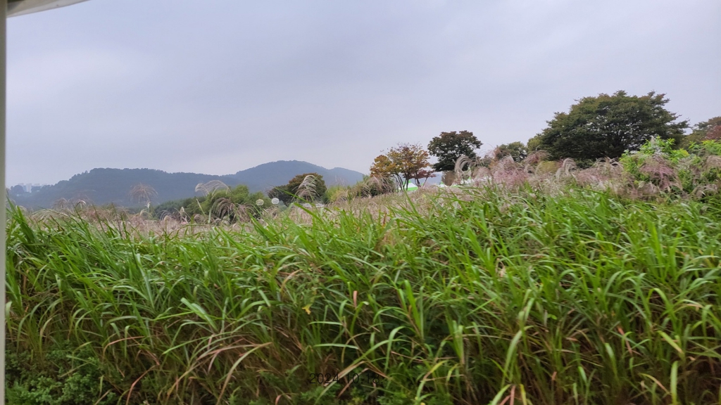 KakaoTalk_20241020_221345368_16.jpg