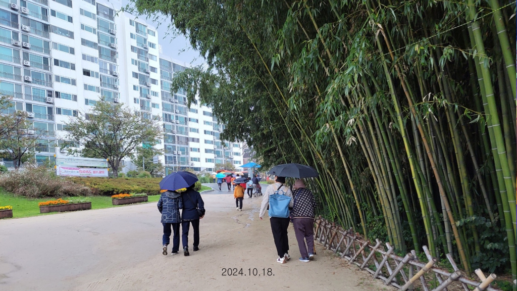 KakaoTalk_20241020_221445509_02.jpg