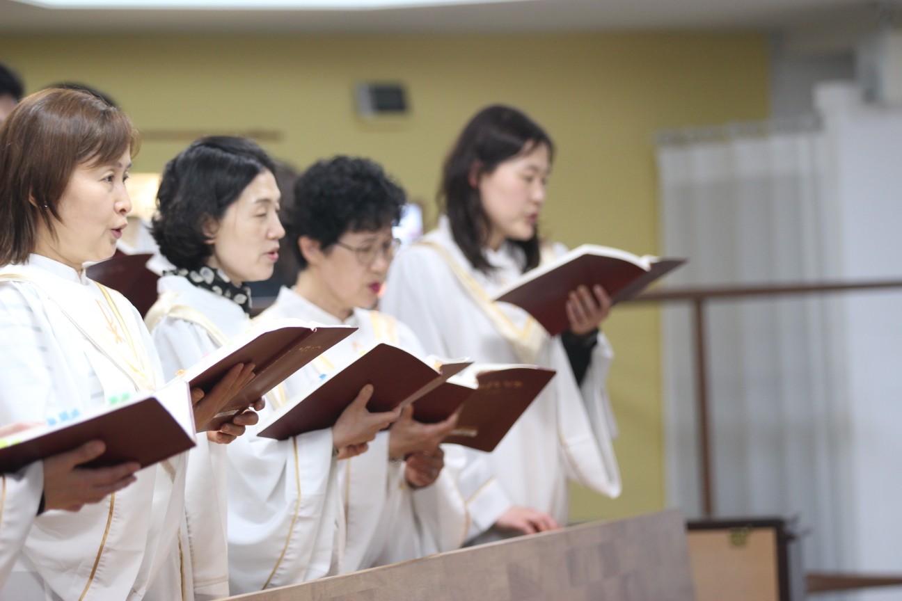 IMG_4912_copy_1296x864.jpg