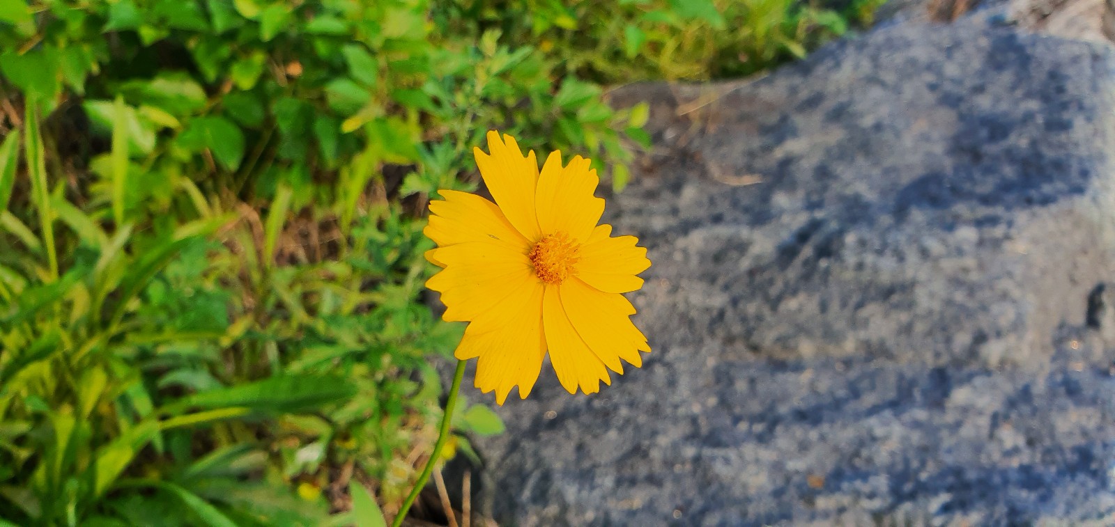 20190831_173805-1600x757.jpg