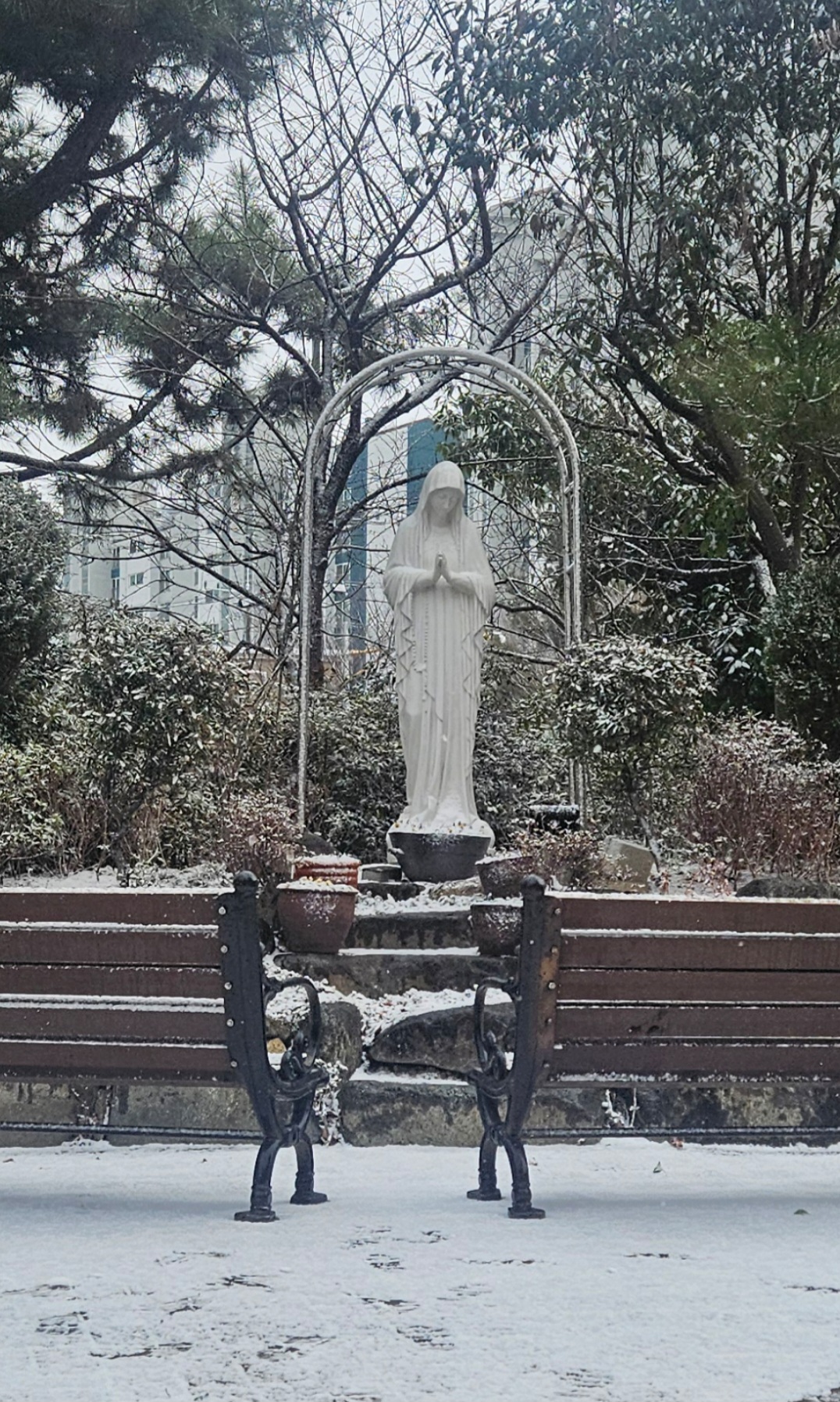 KakaoTalk_20250207_113828875_01.jpg