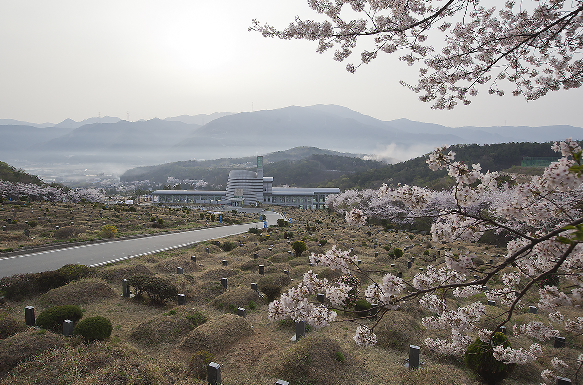 하늘공원전경.jpg