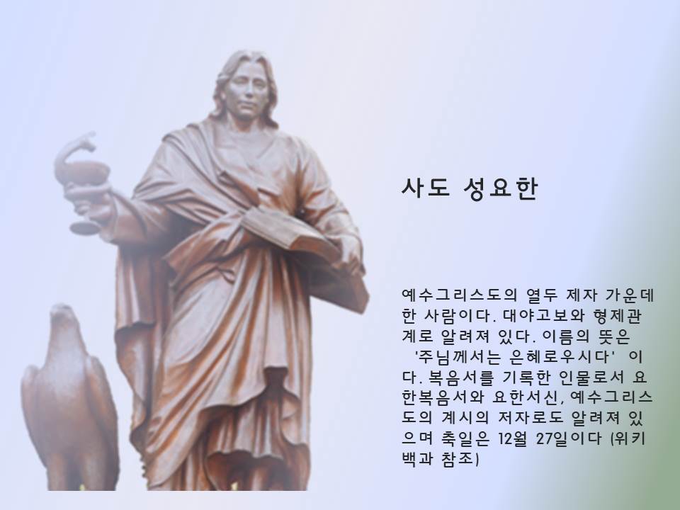 사도성요한 주보성인.jpg