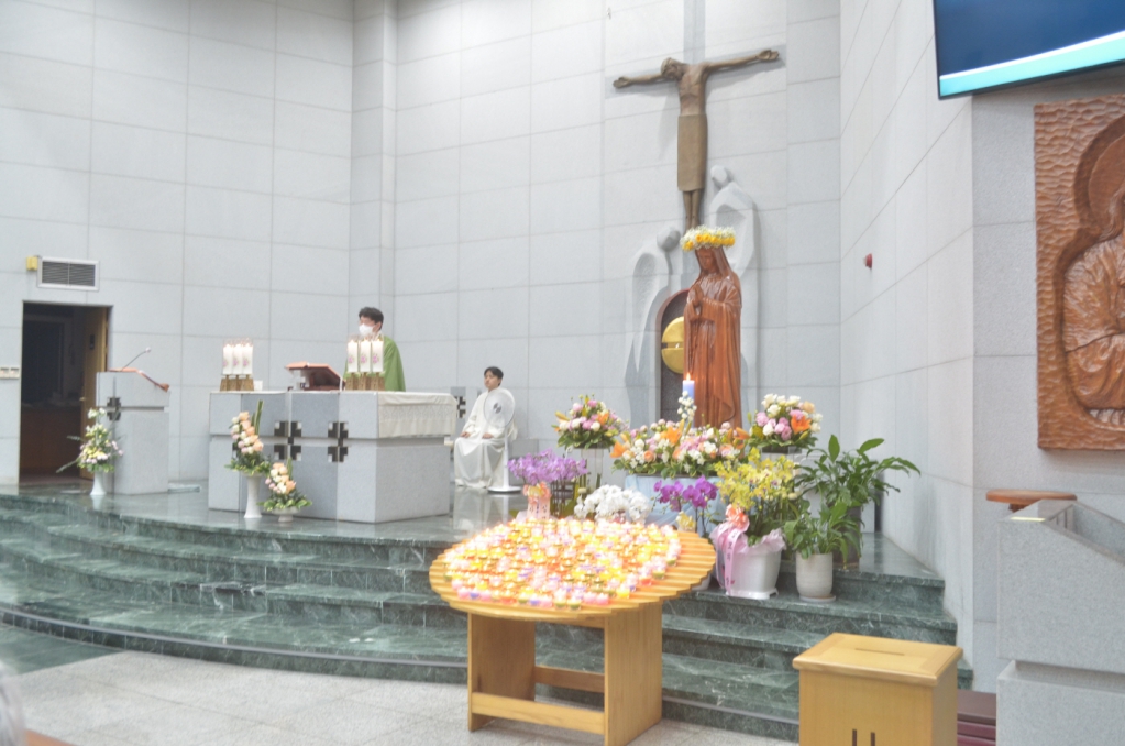 [크기변환]DSC_7462.JPG