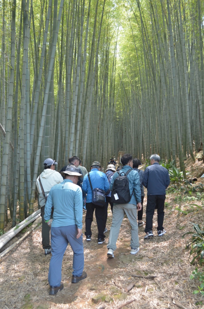 [크기변환]DSC_1950.JPG
