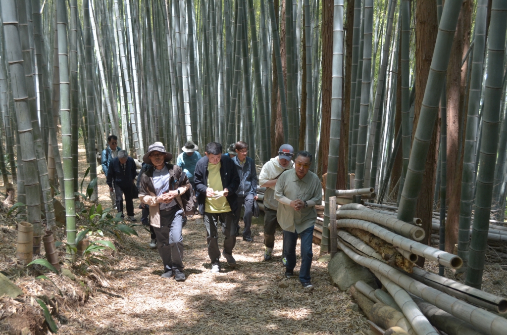 [크기변환]DSC_1954.JPG