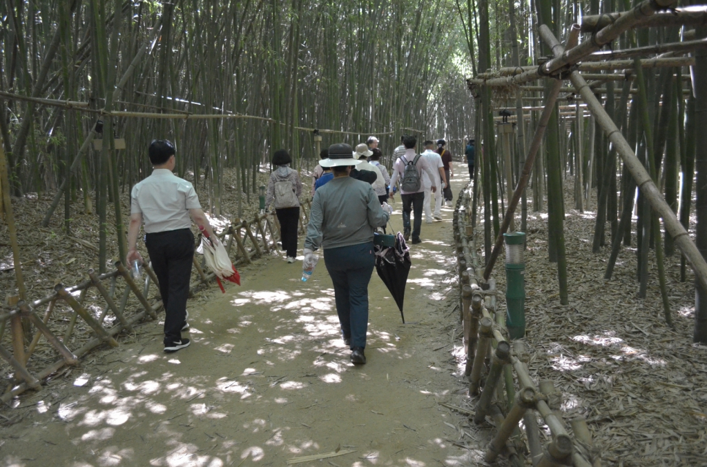 [크기변환]DSC_2449.JPG