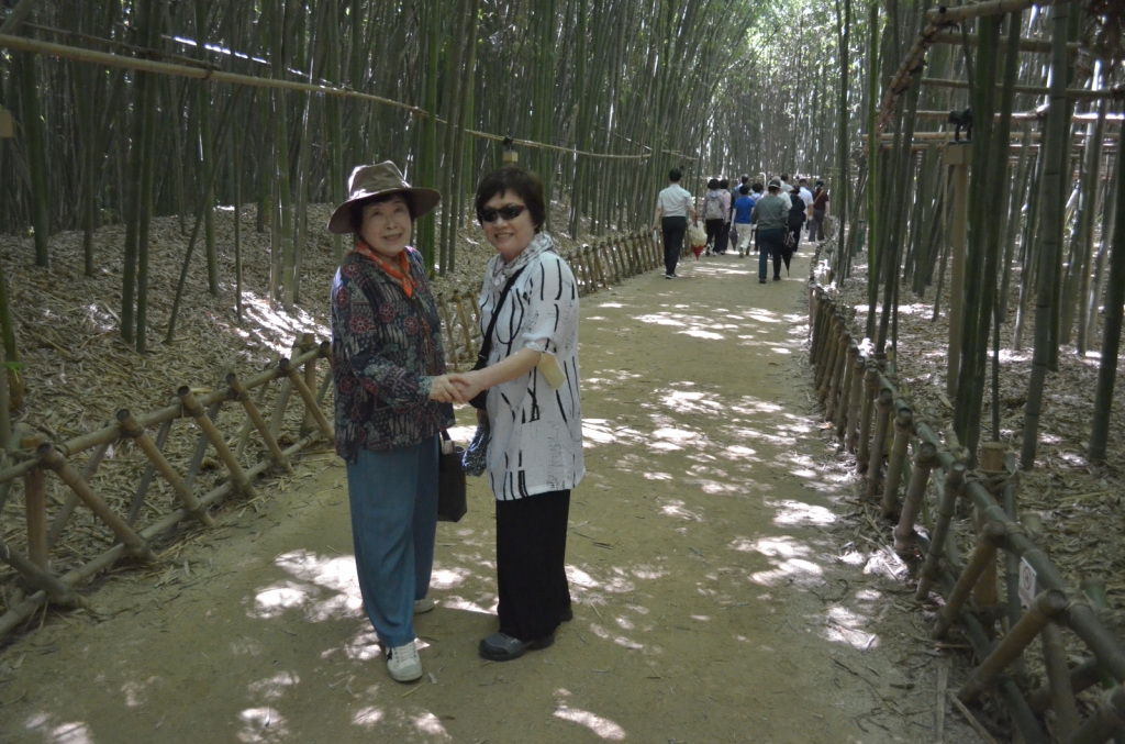 [크기변환]DSC_2453.JPG