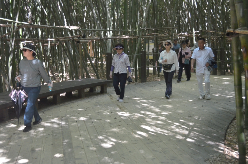 [크기변환]DSC_2459.JPG