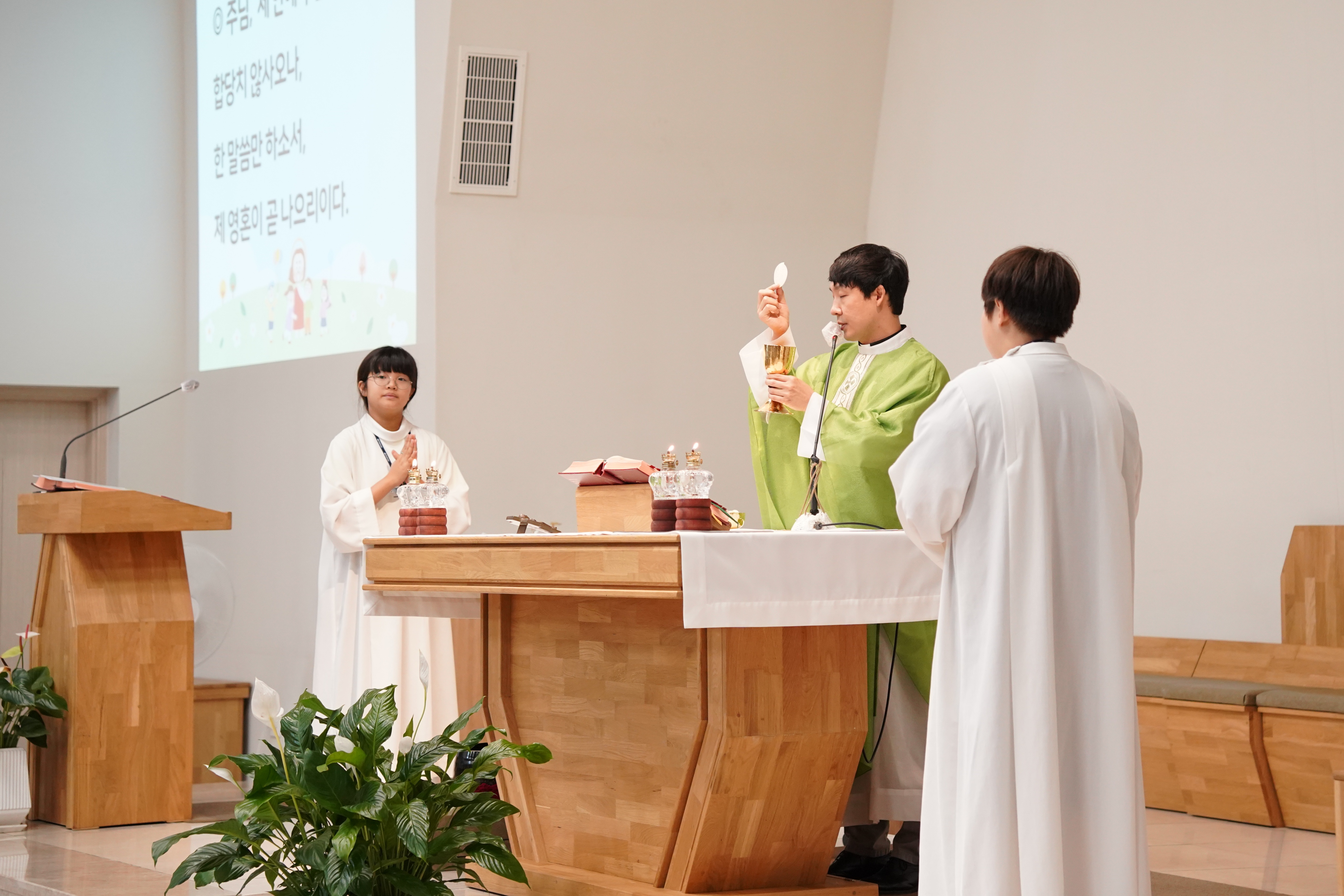 JTC09120-1.JPG
