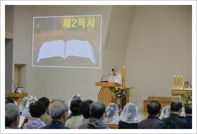 [꾸미기]20250427-_DSC7239.JPG
