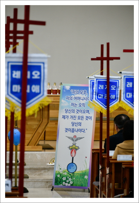 [꾸미기]20250316-_DSC6341.JPG