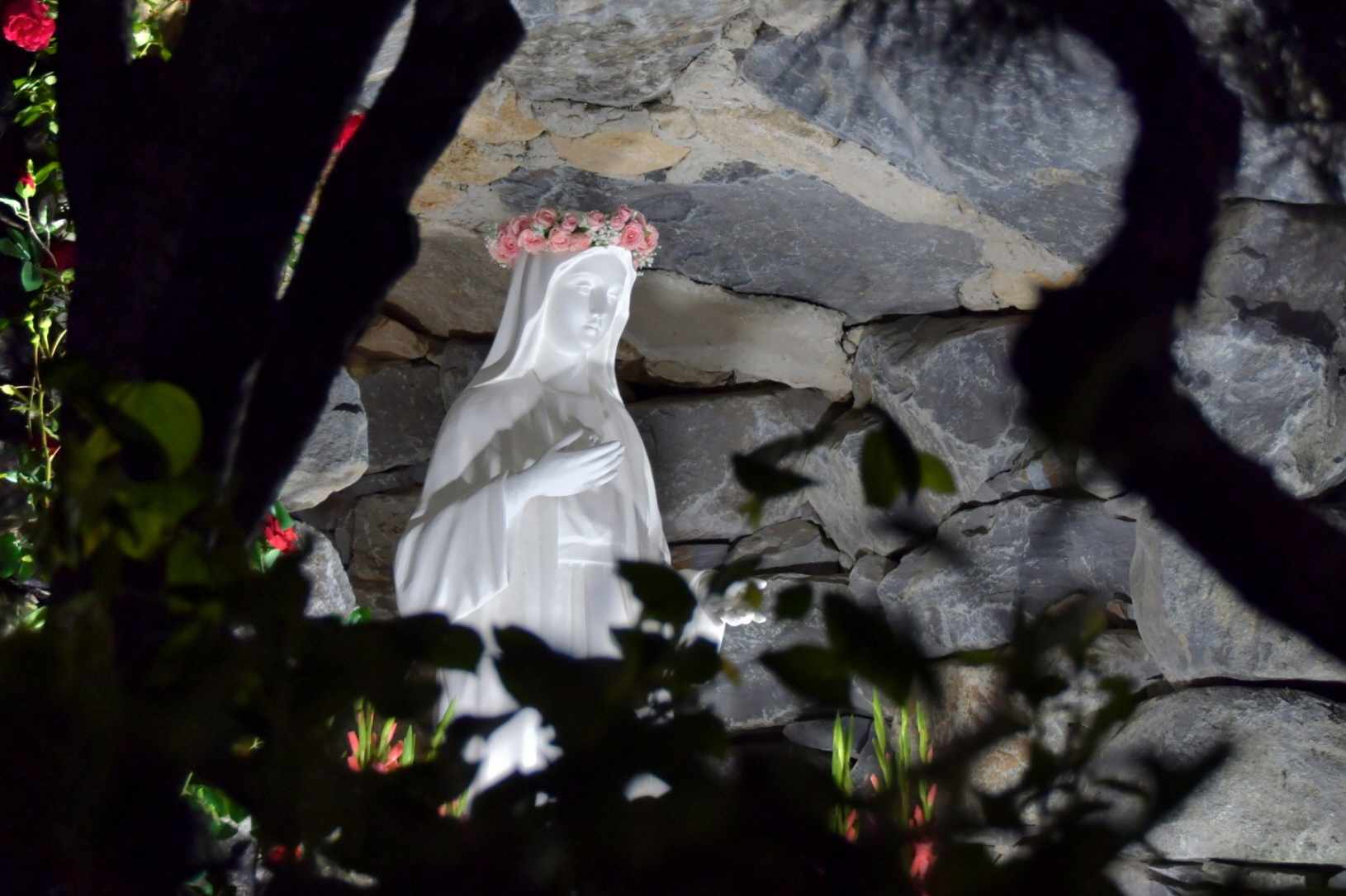 DSC_3692.JPG