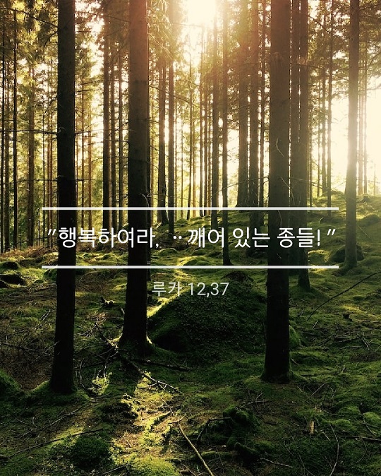 KakaoTalk_20230120_220439126.jpg