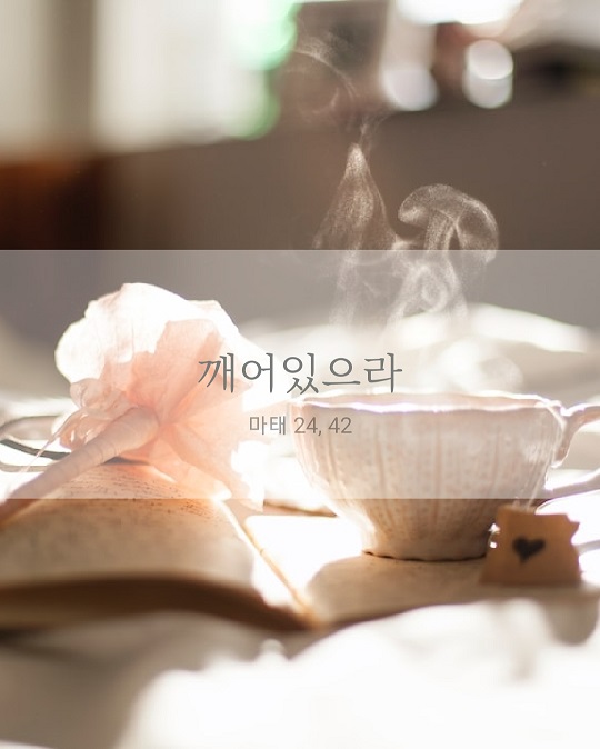 KakaoTalk_20221125_095655434.jpg