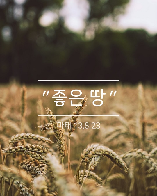 KakaoTalk_20230722_203319891.jpg
