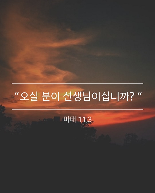KakaoTalk_20221209_221159311.jpg