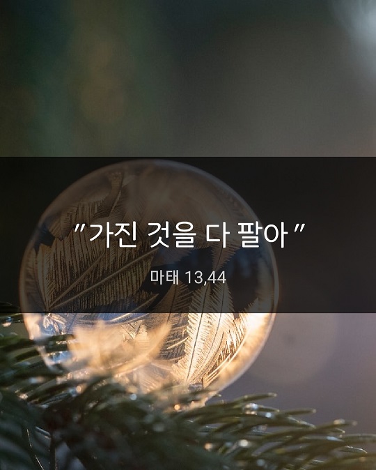KakaoTalk_20230805_185337551.jpg
