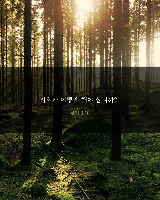 KakaoTalk_20211209_214821279.jpg